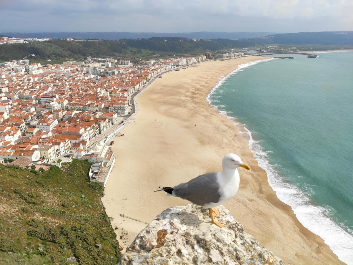 Casa Sao Giao Apartment Nazare Bagian luar foto